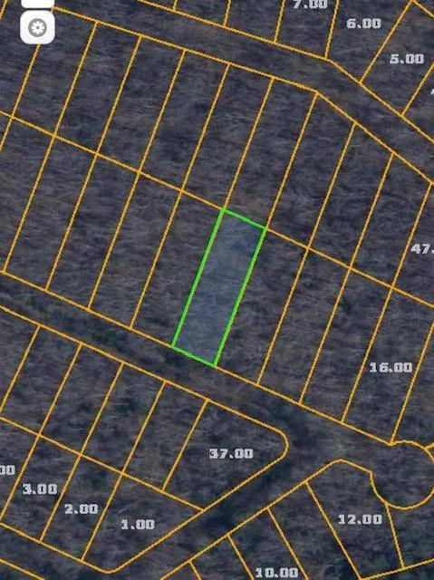 0.24 Acres at Lot 100 Narcissa Dr