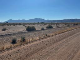 1 IMG_7775