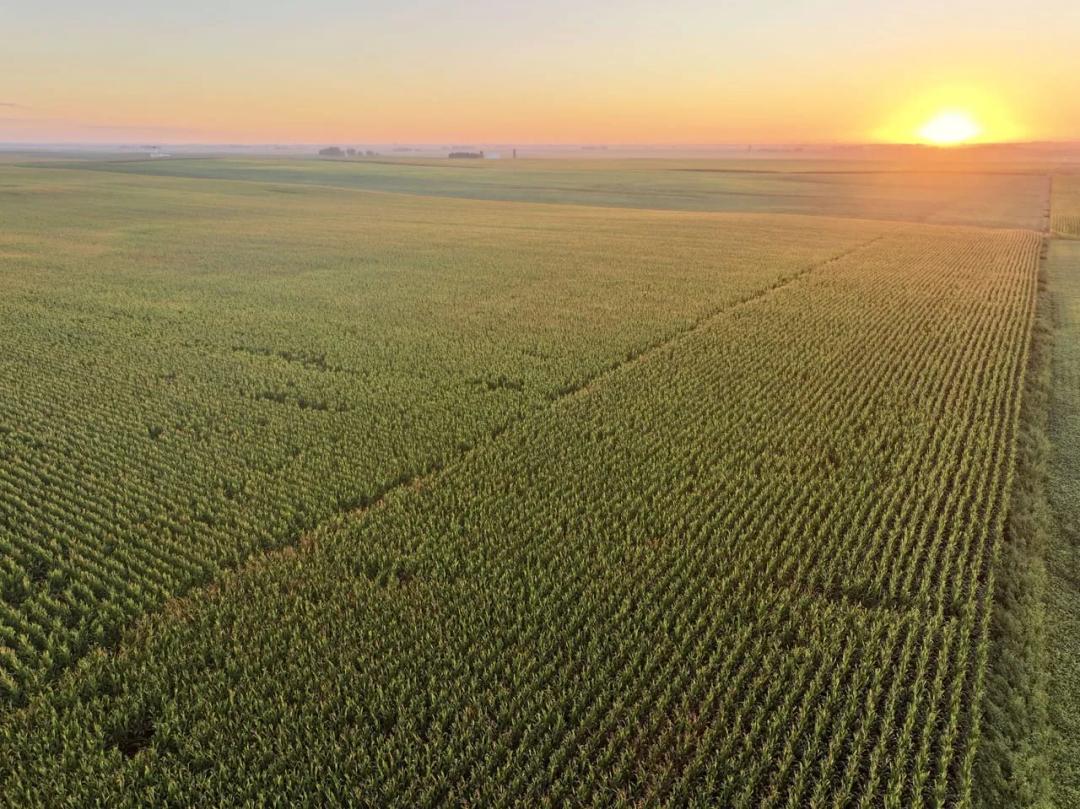 Listing #19759 - 120.00 acres in Hamilton County, IA