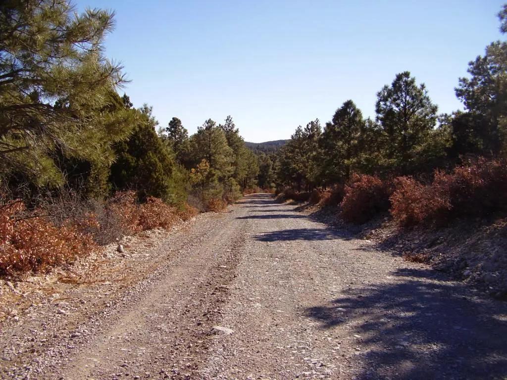 Timberon New Mexico Half-acre Residential Parcel