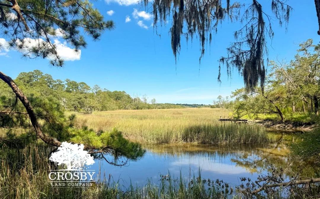 McCoy Creek