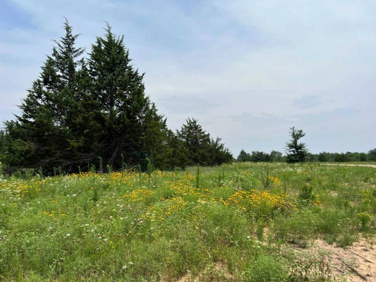 0.65 Acres at 122 Knotty Pine Road