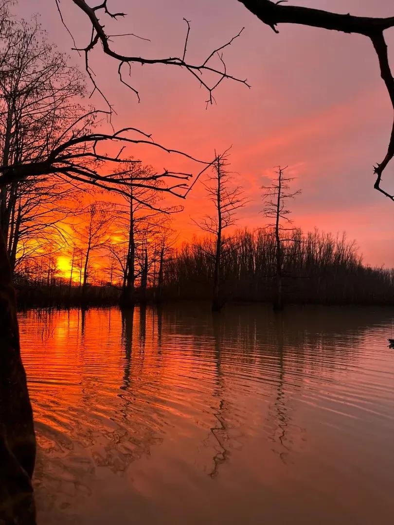 One Equity Share with a Cabin at Coles Creek Timber and Land in Jefferson County, MS 