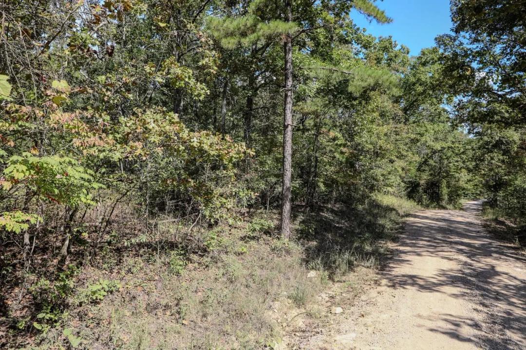 21 acres of timberland and hunting for sale in Wayne County, MO 