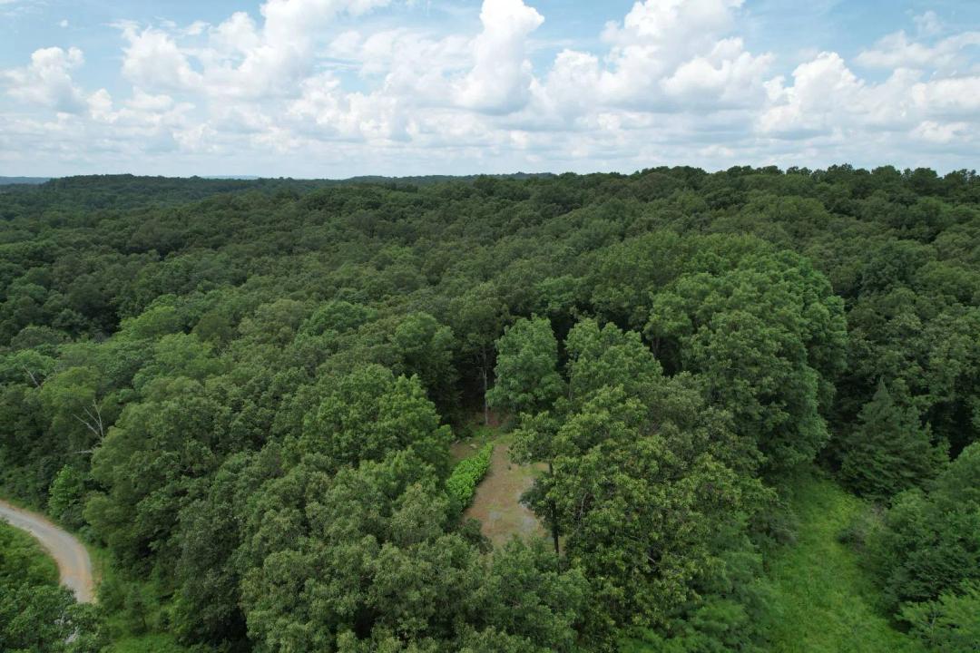 5± Acres Bordering Shawnee National Forest