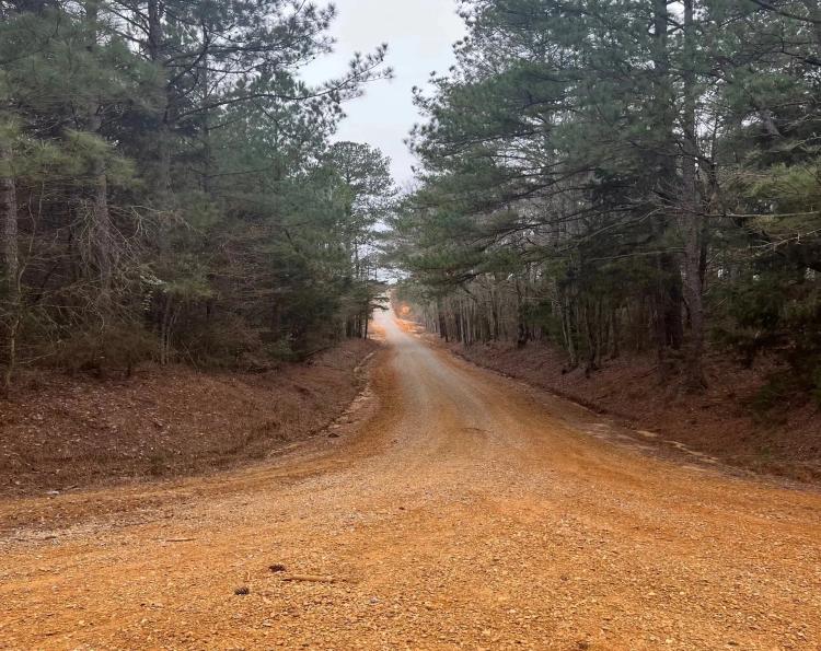 85.5 Acres in Neshoba County in Union, MS 