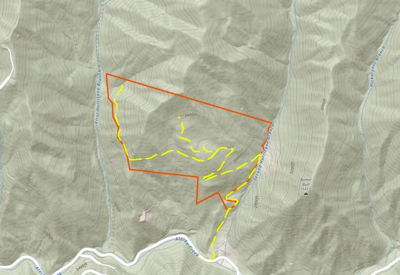 78294116-44