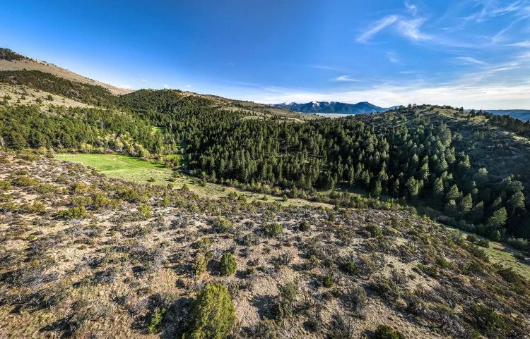 Axes Canyon Hunting Getaway