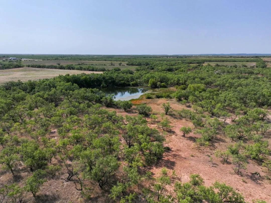 54.55 Acres, TBD Potosi Road, Abilene