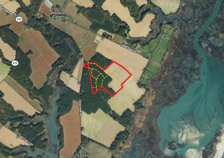 93 acres of Farm and Timber Land for Sale in Accomack County VA!