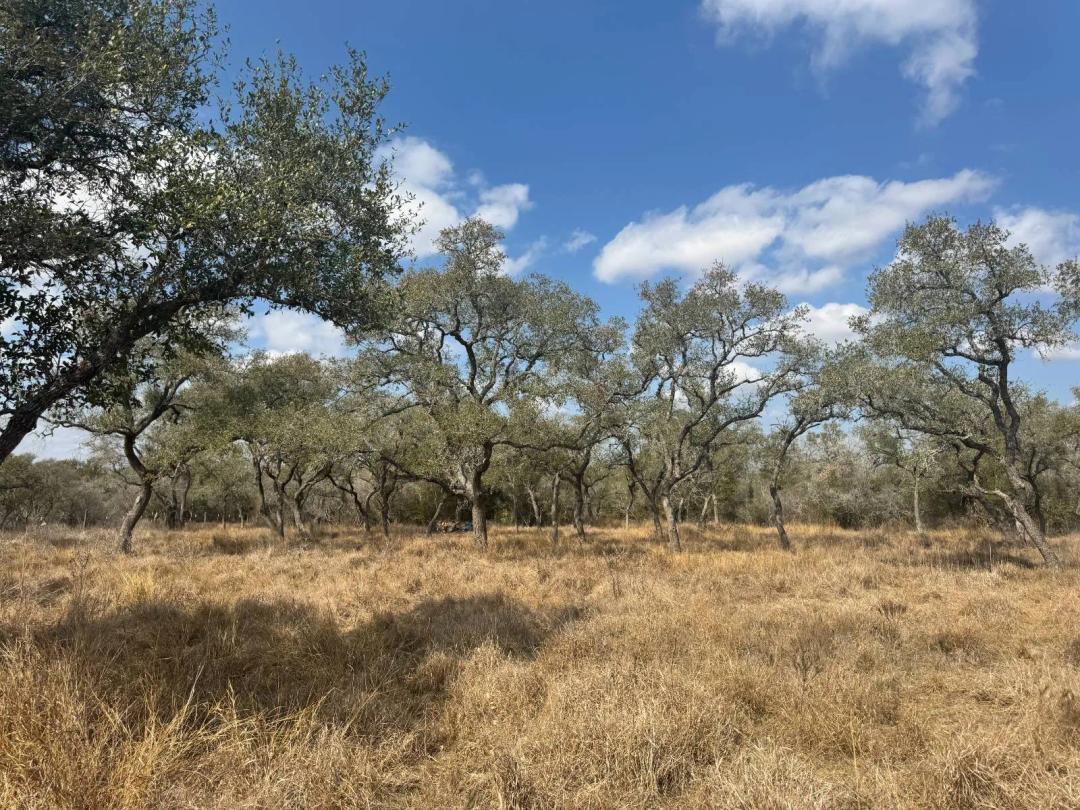 A rare find for NOW Only $114,750. 8.531 serene acres