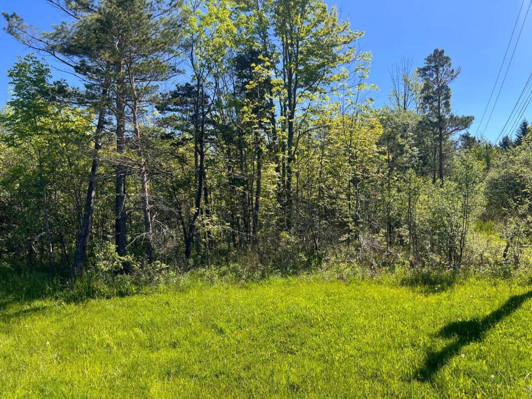 MARILLA LAND 1.7ACRES - ALDEN SCHOOLS