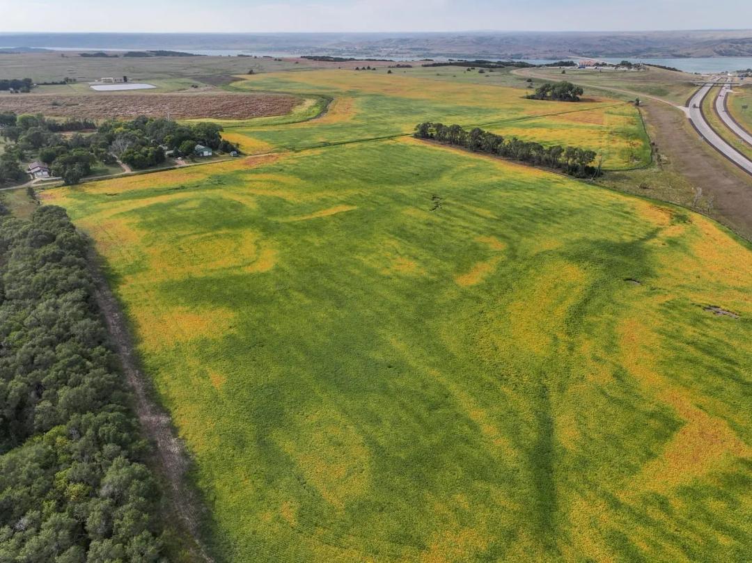 Brule County, SD 175.36 Acres