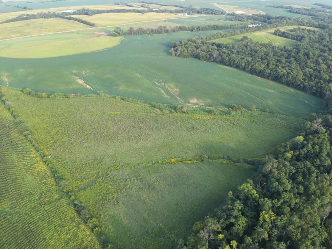 41 Acres m/l with CRP &amp; Hunting