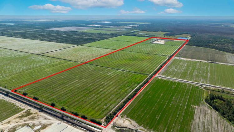 160.00 Acres at 43521 NEAL ROAD
