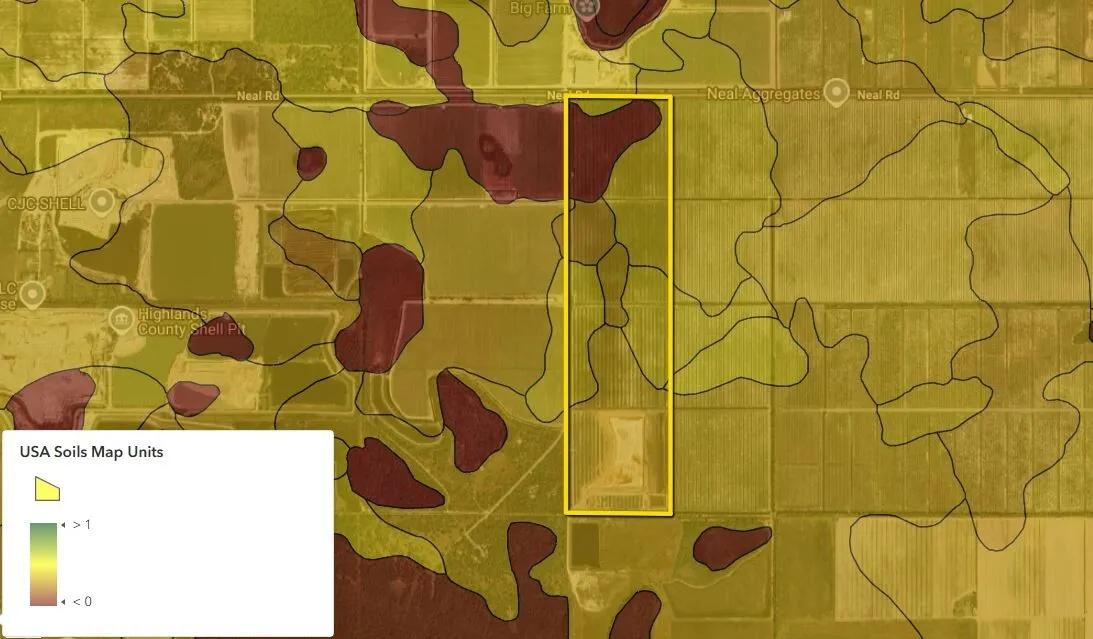 78382264-8
