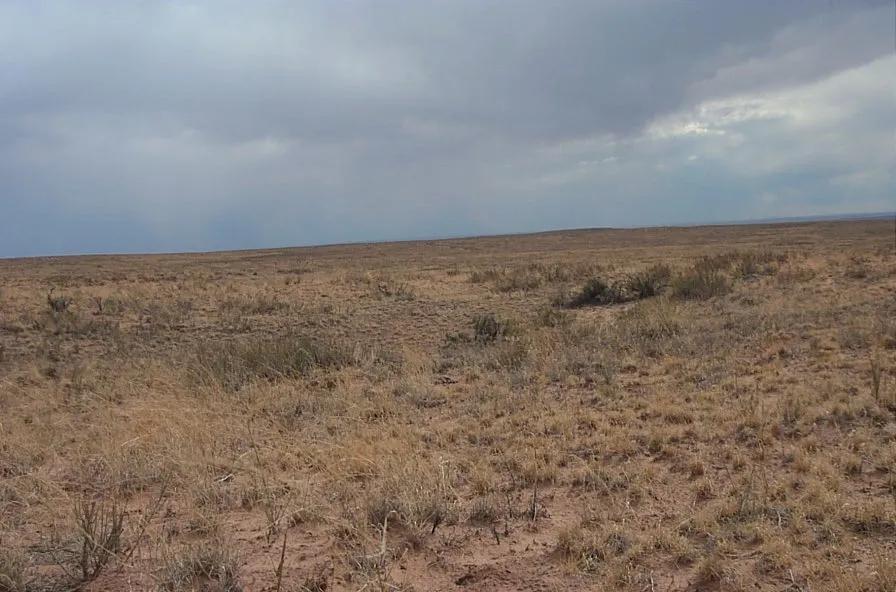 Sunny Arizona Holbrook - Petrified Forest area