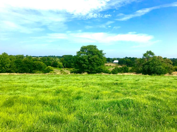 130+/- Acres of Prime Farmland in Lafayette County, Missouri
