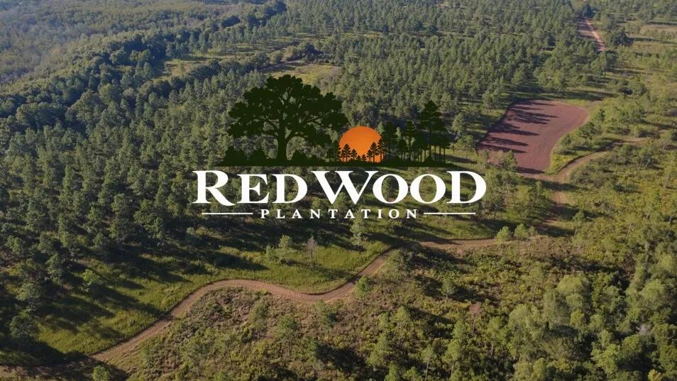 750.00 Acres at 0 Bo Didley Road