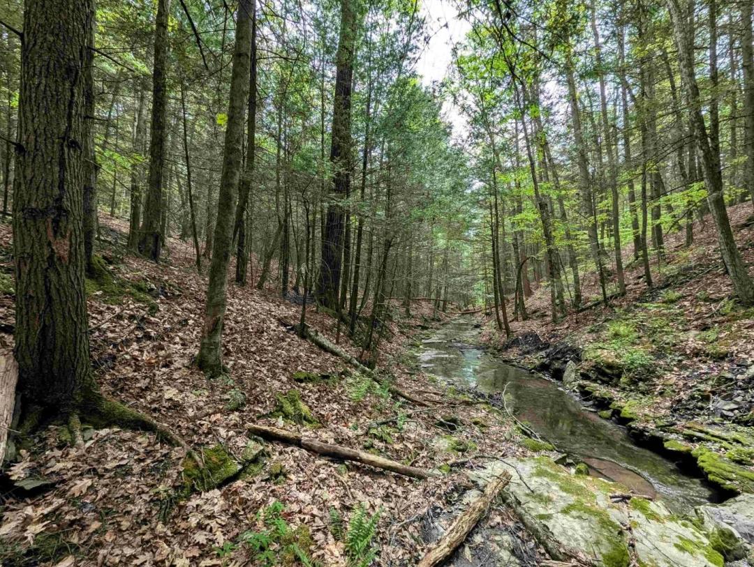 5 acre Recreational Property with Stream in Addison NY Stewart Rd