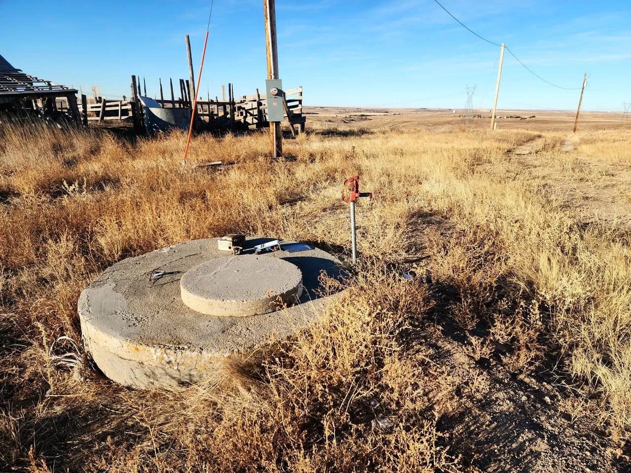 78459731-7