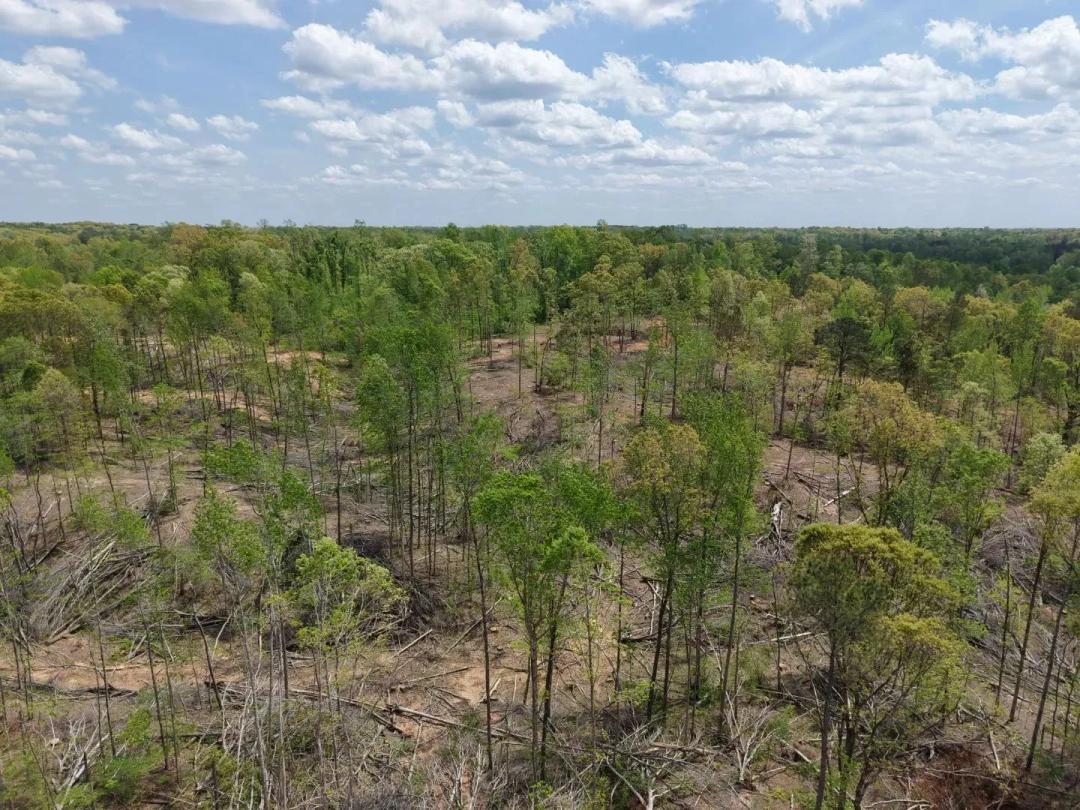 207.16 Acres in Madison County, TN