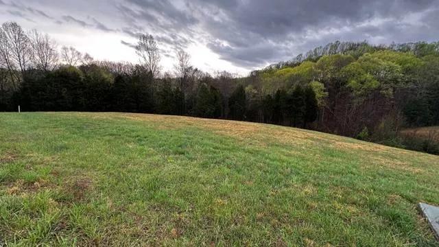 0.94-acre lot with lots of natural beauty