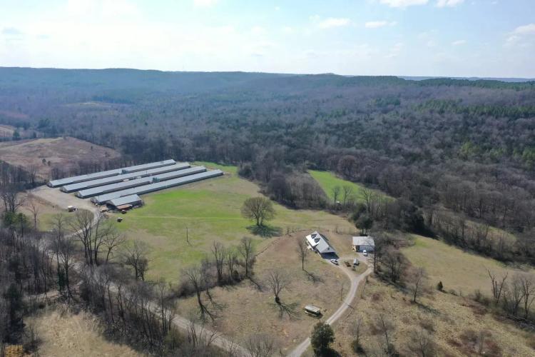Bolton Broiler Farm