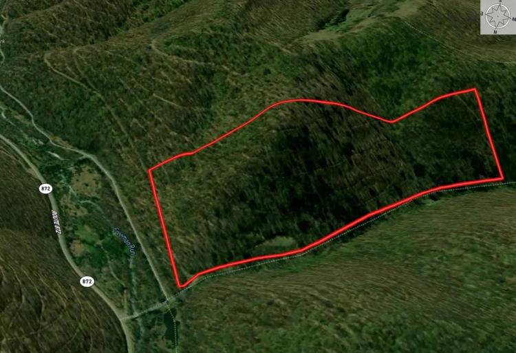 POTTER COUNTY - 61 +/- ACRES - STATE RD 872 / Jones Run Rd