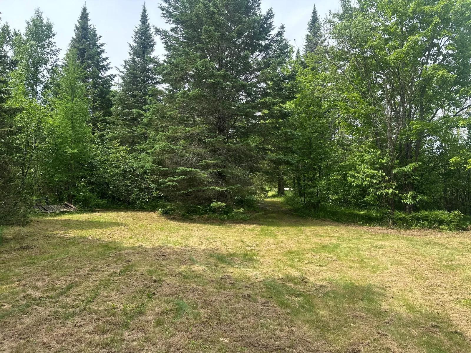 78572333-10