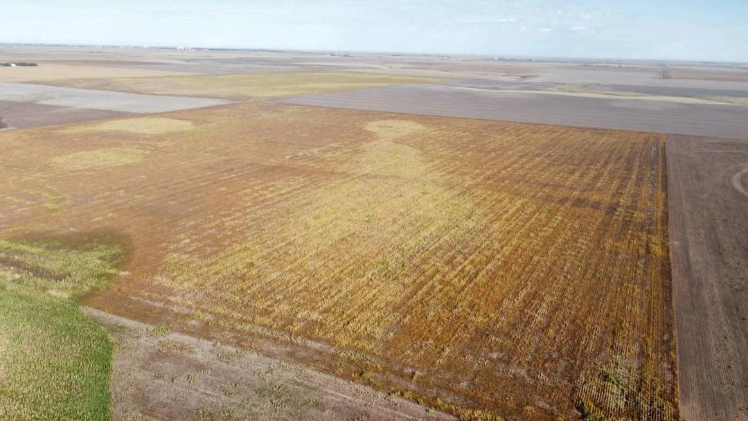 Southeast Sherman County Farmland