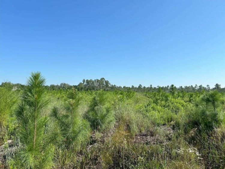 Goodwin Road Tract 2
