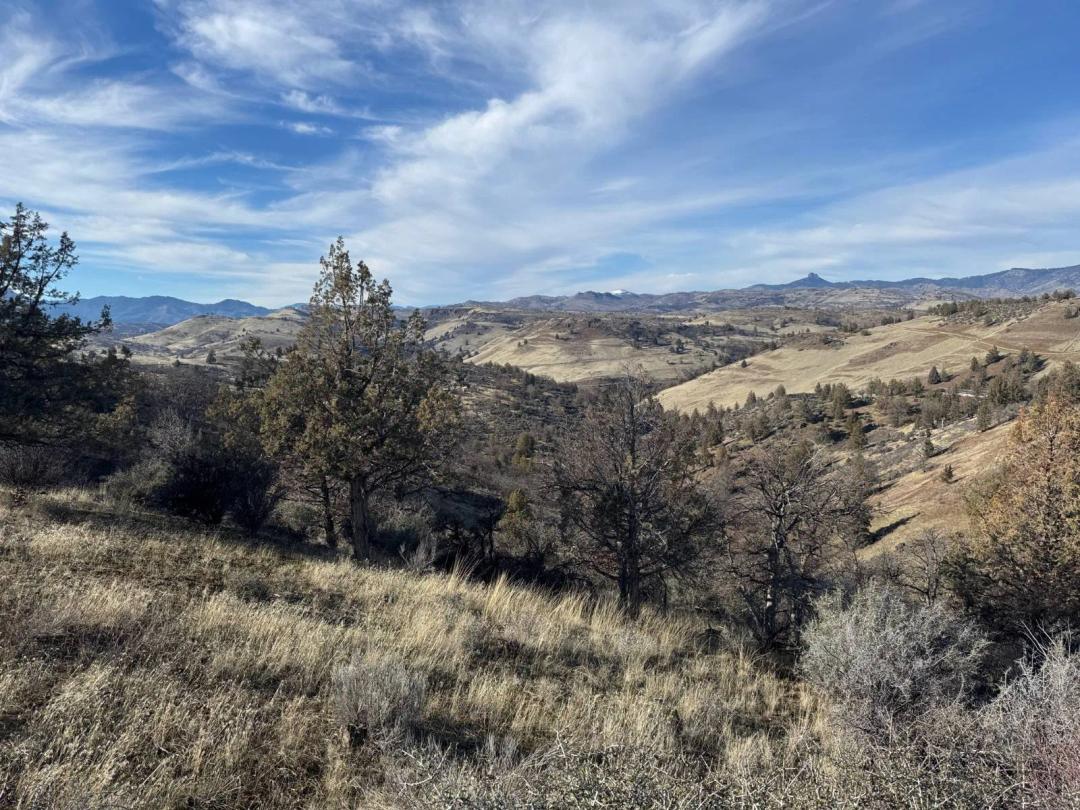 27.30 Acres at 272-273 Desavado Road