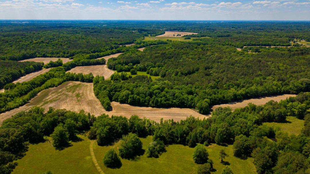 The Mooreville Farm 431.67