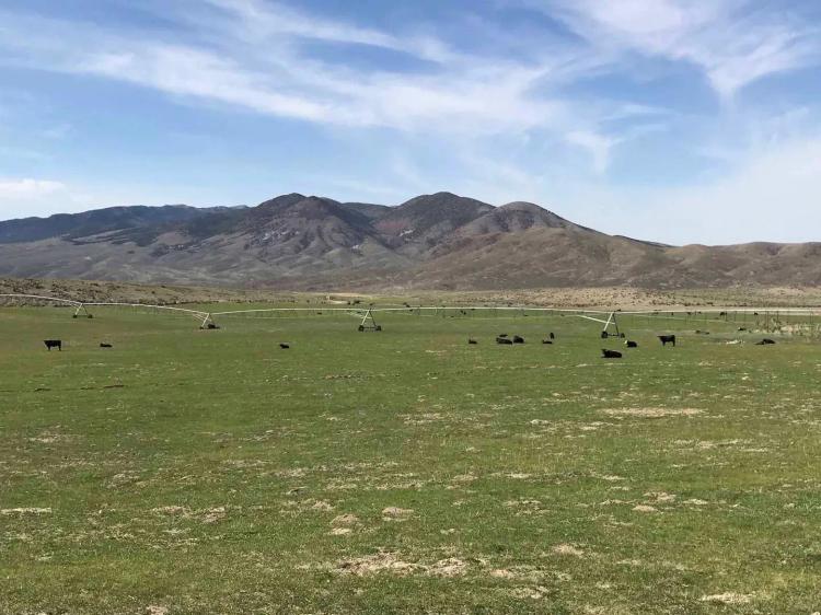 Hat Springs Ranch
