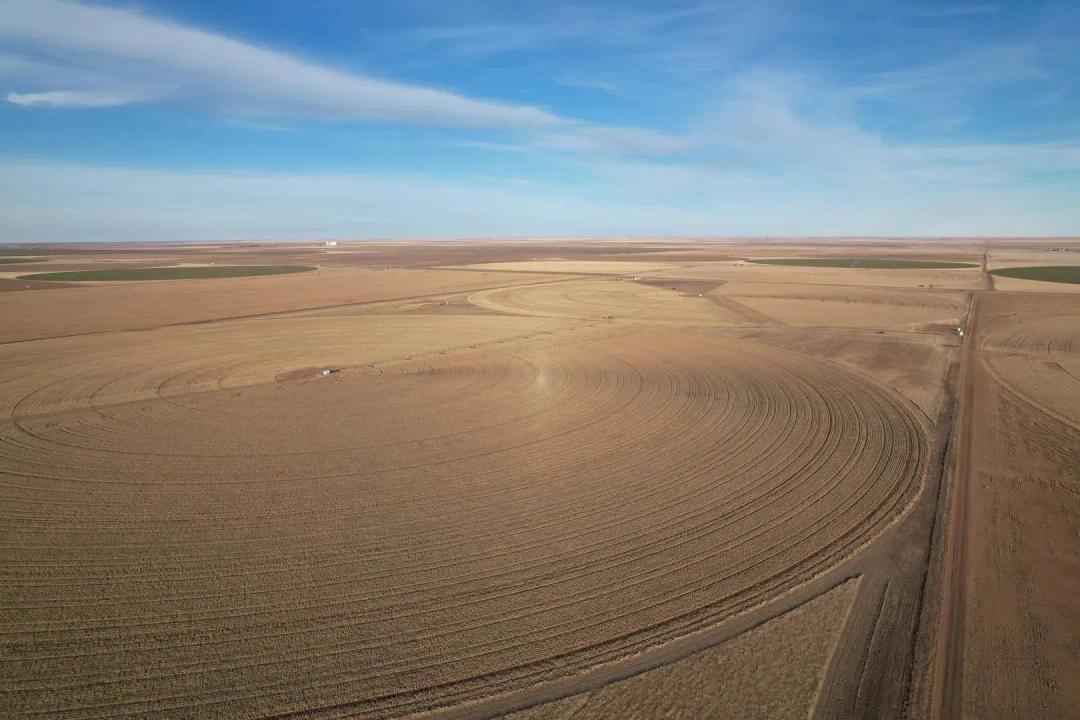 Irrigated Farm East of Sunray