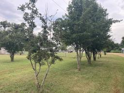 78675463-32