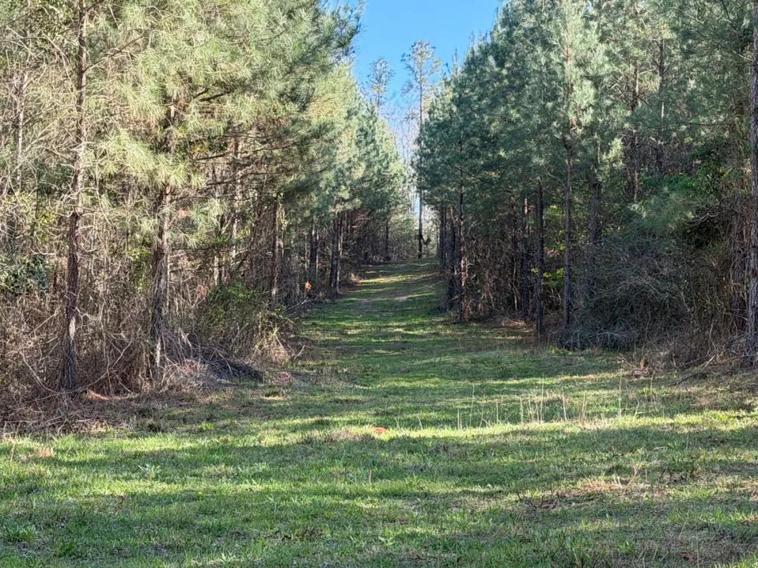 Watkins Pond Road Tract 2