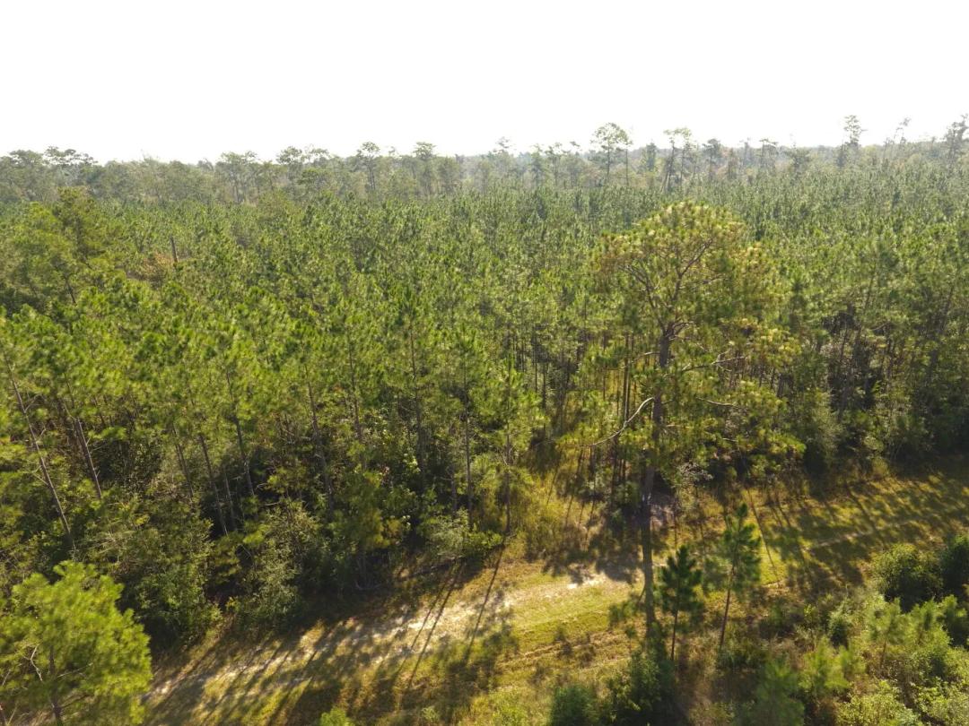 128.00 Acres at 0 Comanche Road