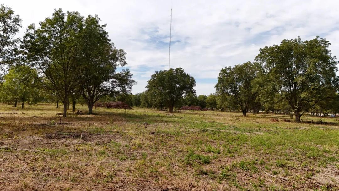 34 Acres in Bolivar County, MS 