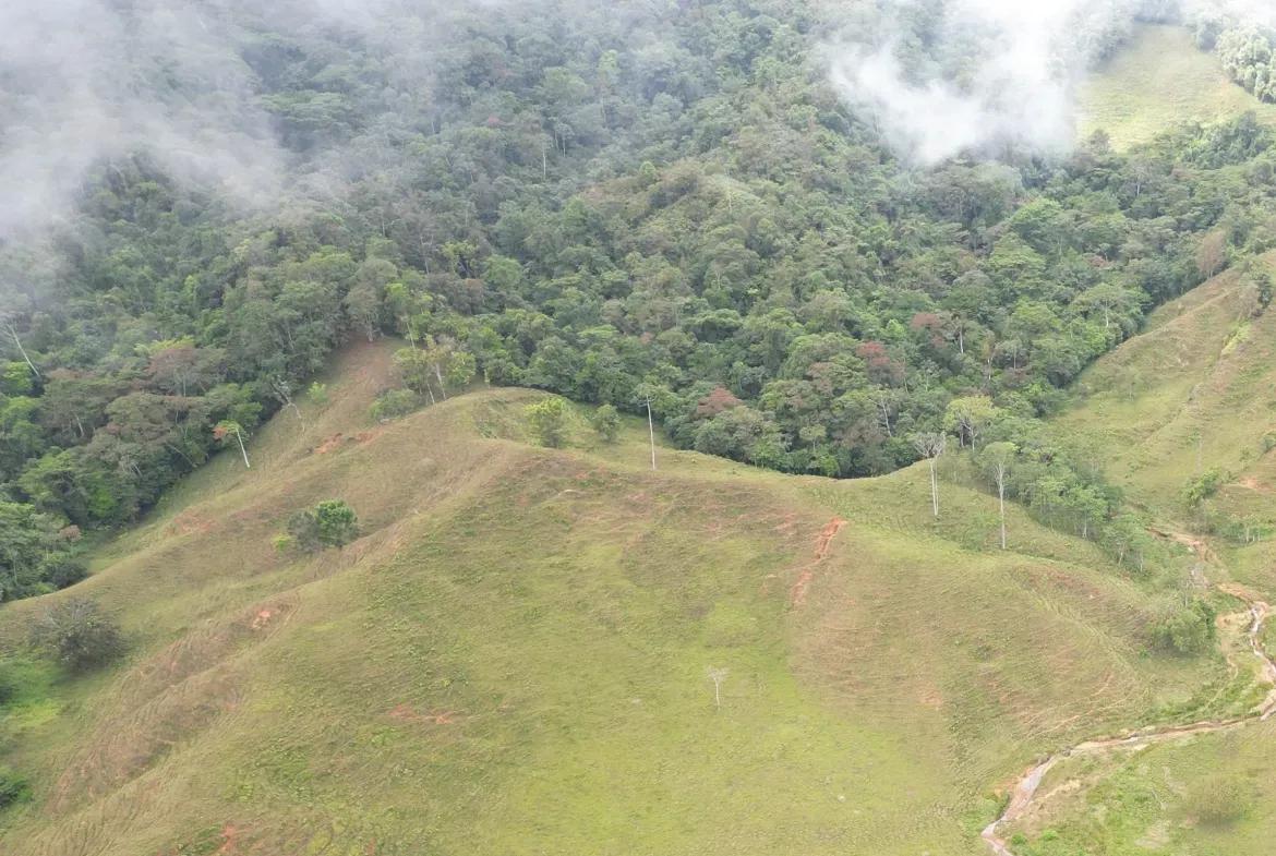 finca41