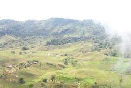 finca8