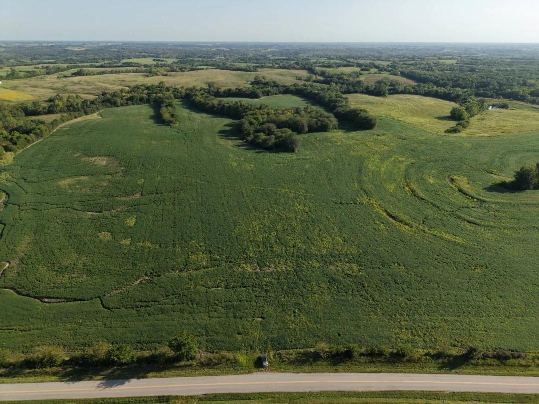 Albany, Mo farm with 196 m/l Acres