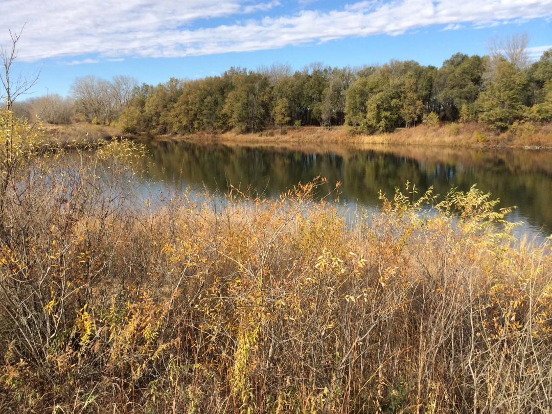 Mariposa Lake Lot 4
