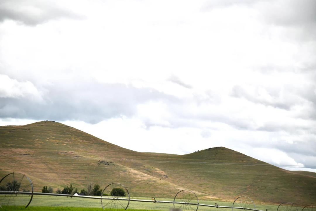 Montana Country Home and Farmland Auction