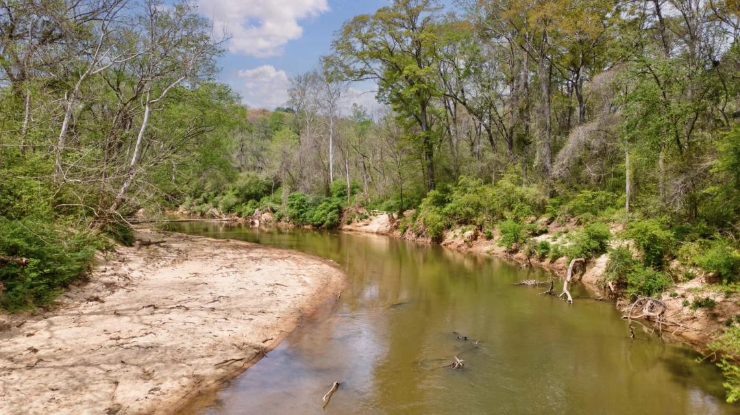 15.36 Acres at 0 NE Richard Rd. 0 Richard Rd