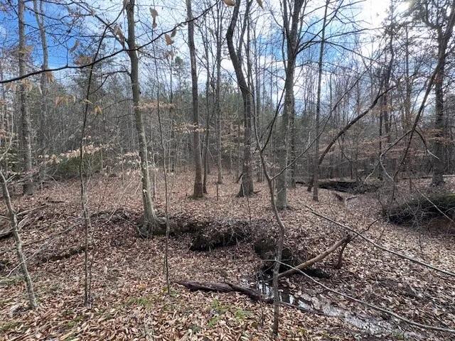 75.40 Acres at  Carter Smith Rd