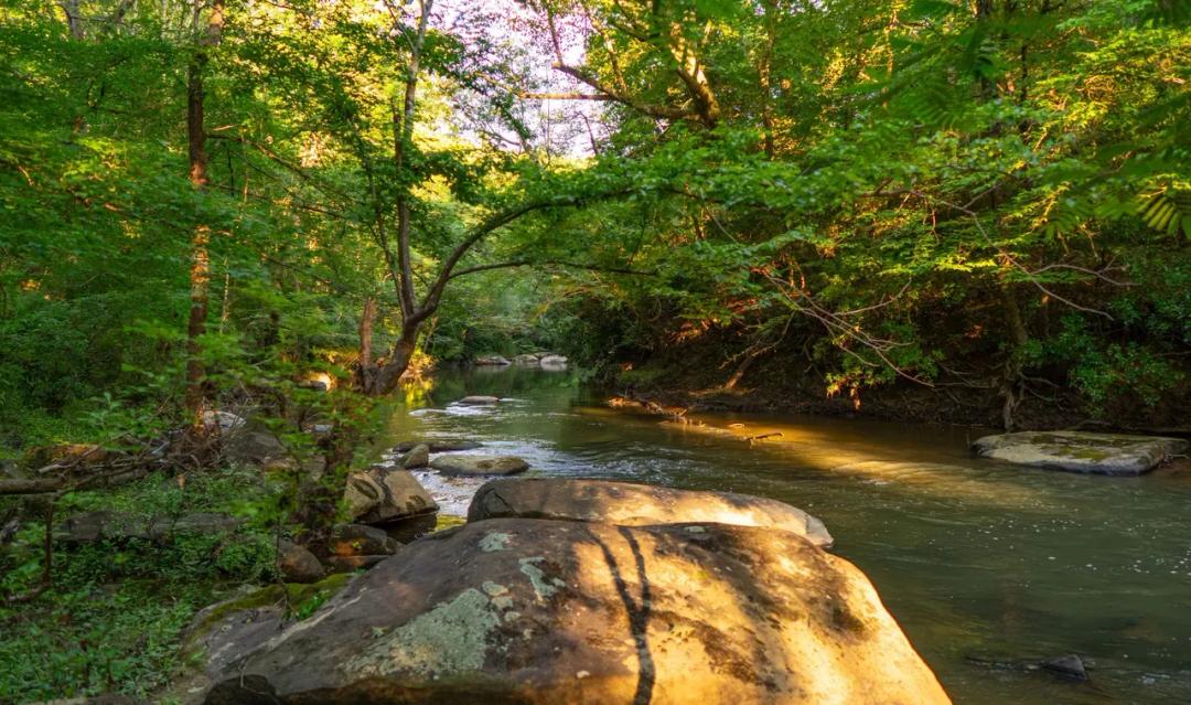311 Acres at Lyle Branch in Tuscaloosa County
