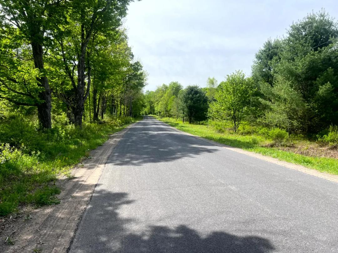 Near Nine State Forests