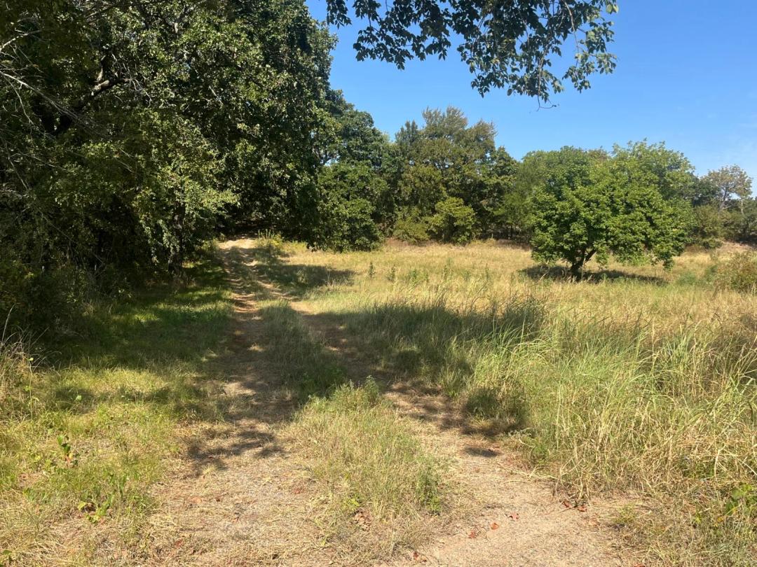 Beautiful wooded property